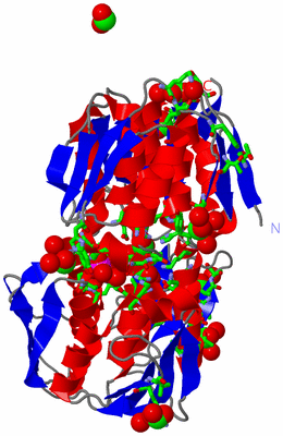 Image Asym./Biol. Unit - sites