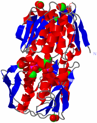 Image Asym./Biol. Unit