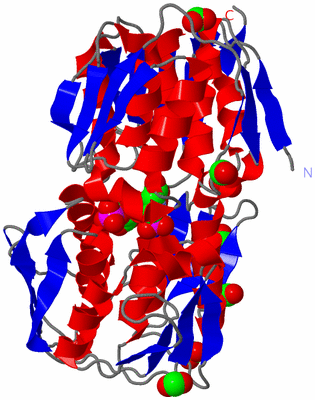 Image Asym./Biol. Unit