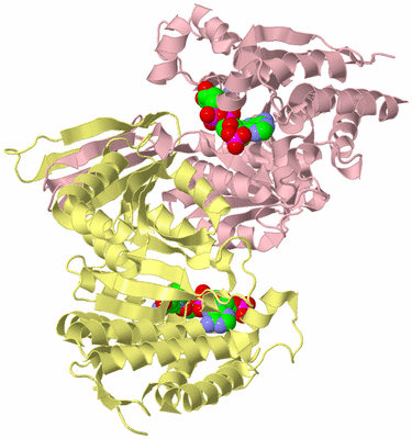 Image Biological Unit 2