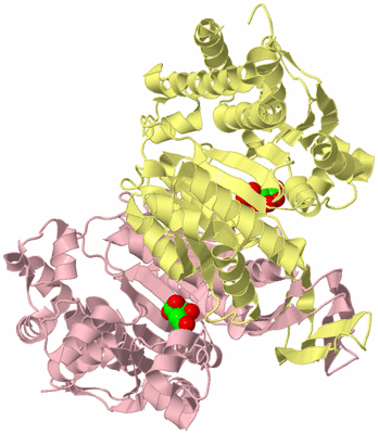 Image Biological Unit 2