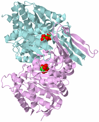 Image Biological Unit 3