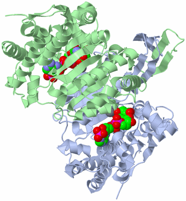 Image Biological Unit 1