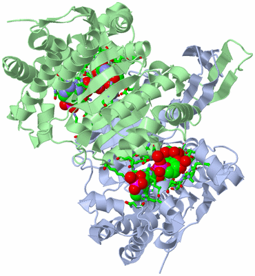 Image Biol. Unit 1 - sites