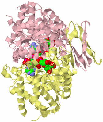 Image Biological Unit 2