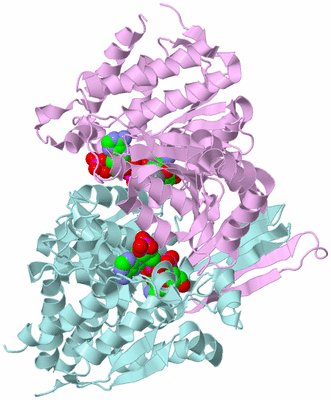 Image Biological Unit 3