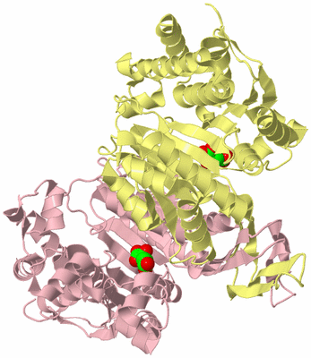 Image Biological Unit 2