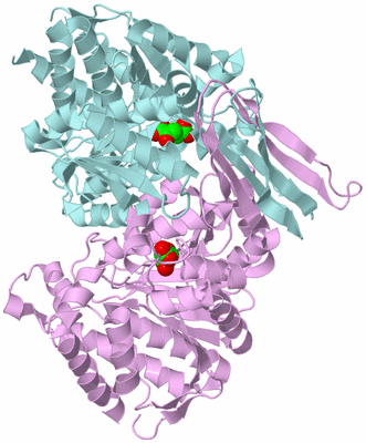 Image Biological Unit 3