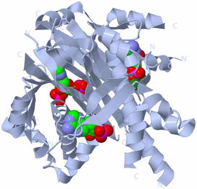 Image Biological Unit 1