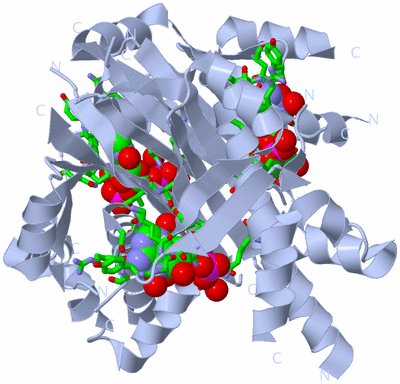 Image Biol. Unit 1 - sites