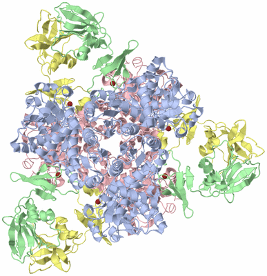 Image Biological Unit 1