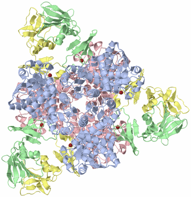 Image Biological Unit 1