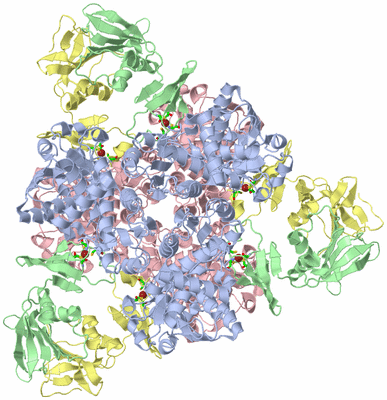 Image Biol. Unit 1 - sites