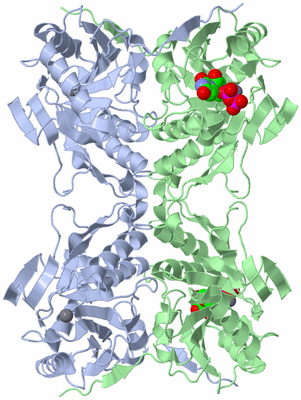 Image Biological Unit 2