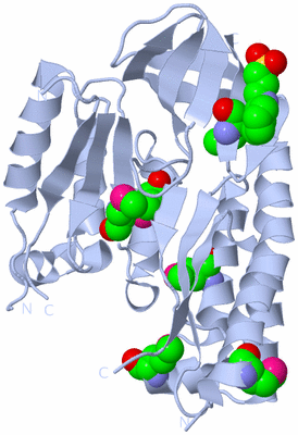 Image Biological Unit 1