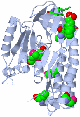 Image Biol. Unit 1 - sites