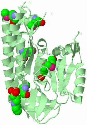 Image Biological Unit 2