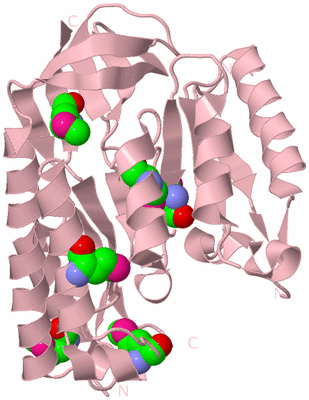 Image Biological Unit 3