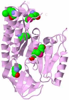 Image Biological Unit 5