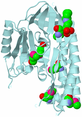 Image Biological Unit 6