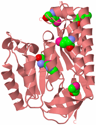 Image Biological Unit 8