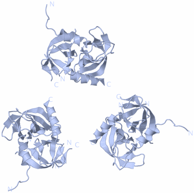 Image Biological Unit 1