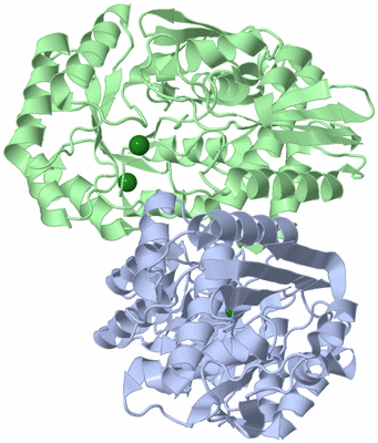 Image Asym./Biol. Unit