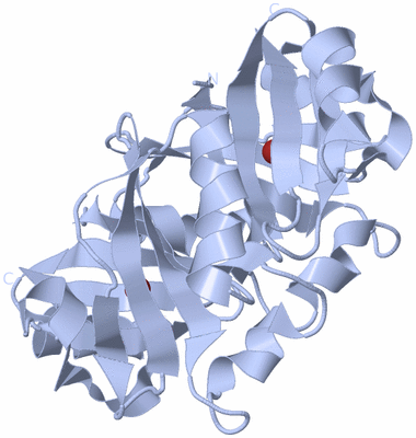 Image Biological Unit 1