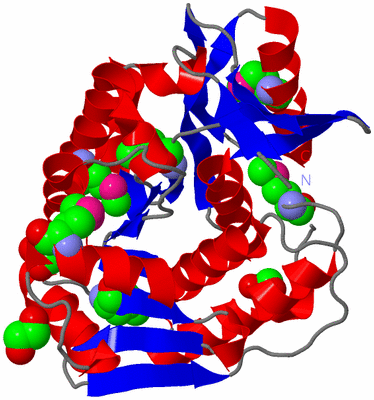 Image Asym./Biol. Unit