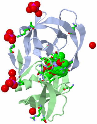 Image Asym./Biol. Unit - sites