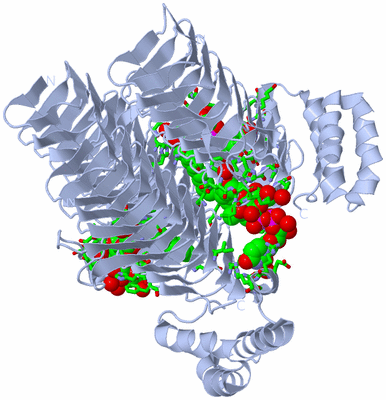 Image Biol. Unit 1 - sites