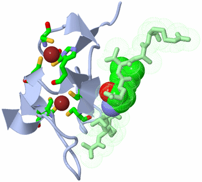 Image Biol. Unit 1 - sites