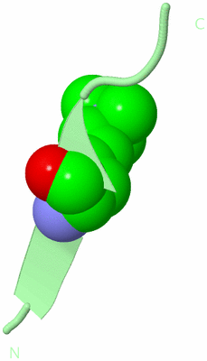 Image Biological Unit 3