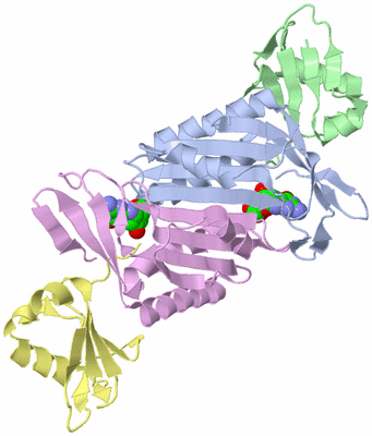 Image Biological Unit 1