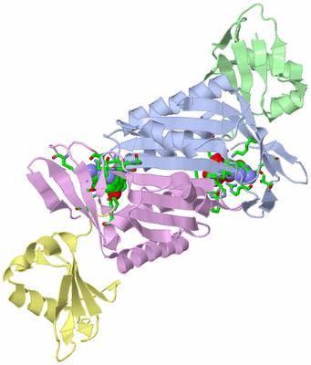 Image Biol. Unit 1 - sites