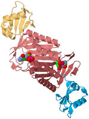 Image Biological Unit 2