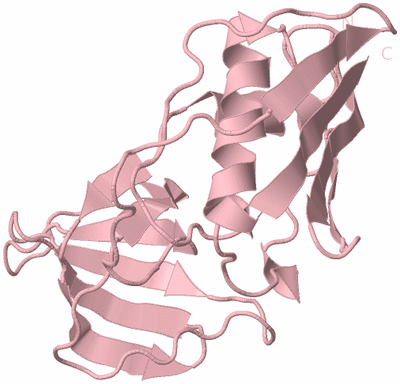 Image Biological Unit 3