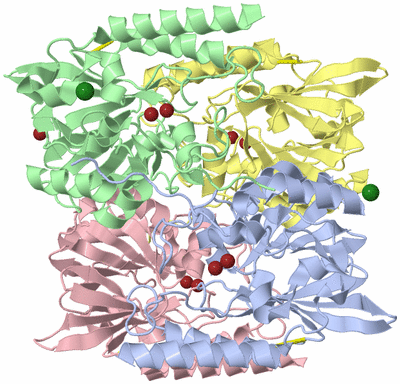 Image Biological Unit 1