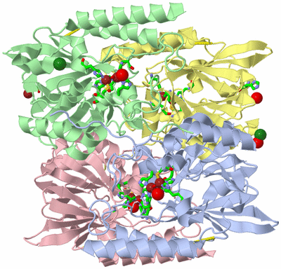 Image Biol. Unit 1 - sites