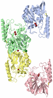 Image Biological Unit 2