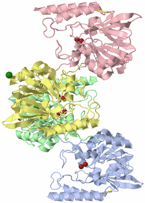 Image Biological Unit 3