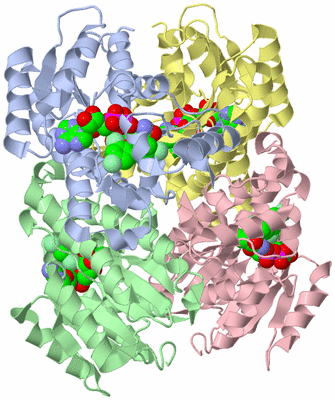 Image Asym./Biol. Unit