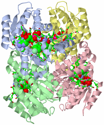 Image Asym./Biol. Unit - sites