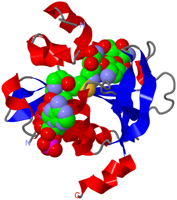 Image Asym./Biol. Unit