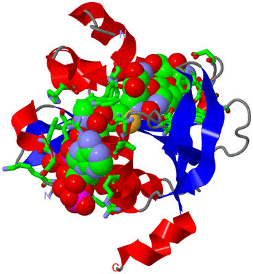 Image Asym./Biol. Unit - sites