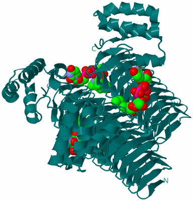 Image Biological Unit 1