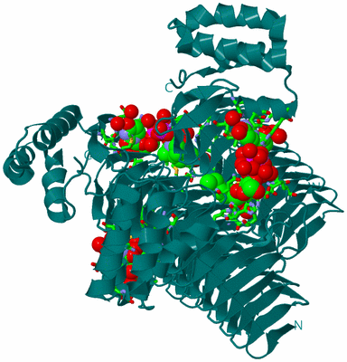 Image Biol. Unit 1 - sites