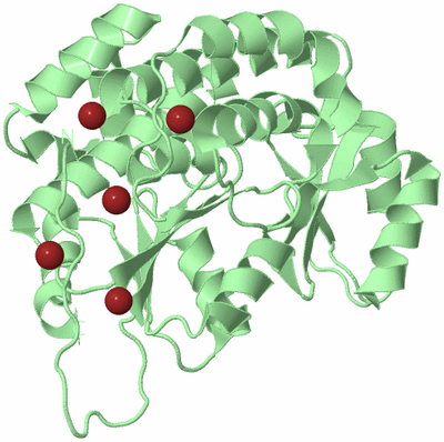 Image Biological Unit 2