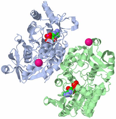 Image Asym./Biol. Unit