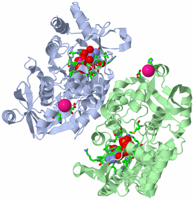 Image Asym./Biol. Unit - sites